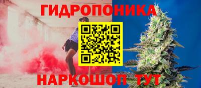скорость Аргун